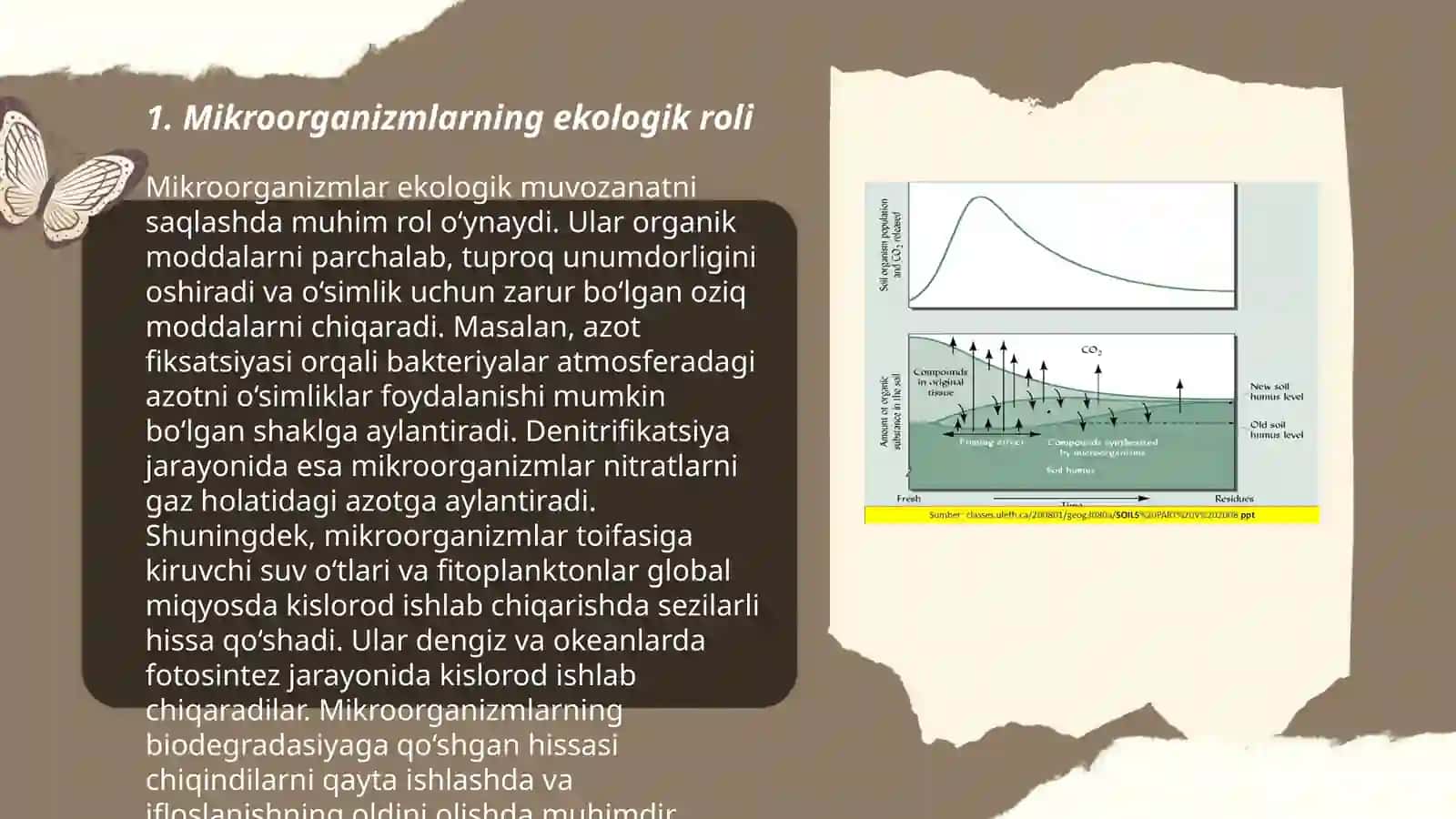 Mikroorganizmalar ekologiyasi 3