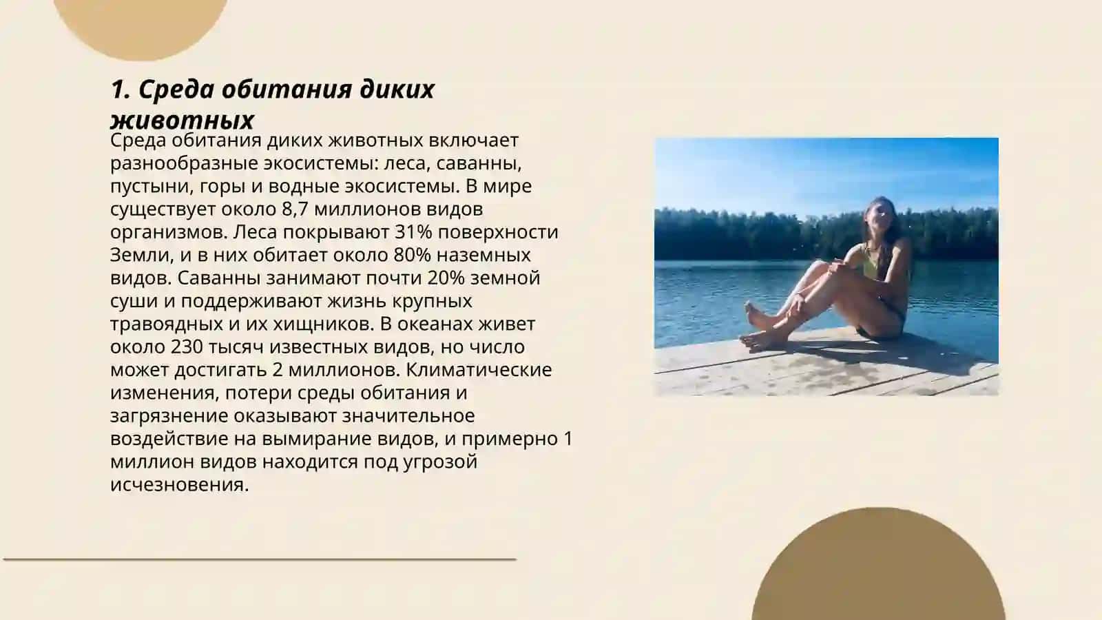 Дикие животные 3