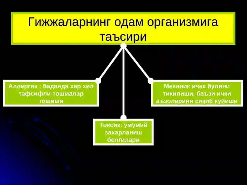 ГИЖЖАЭНВАЗИЯСИ 3