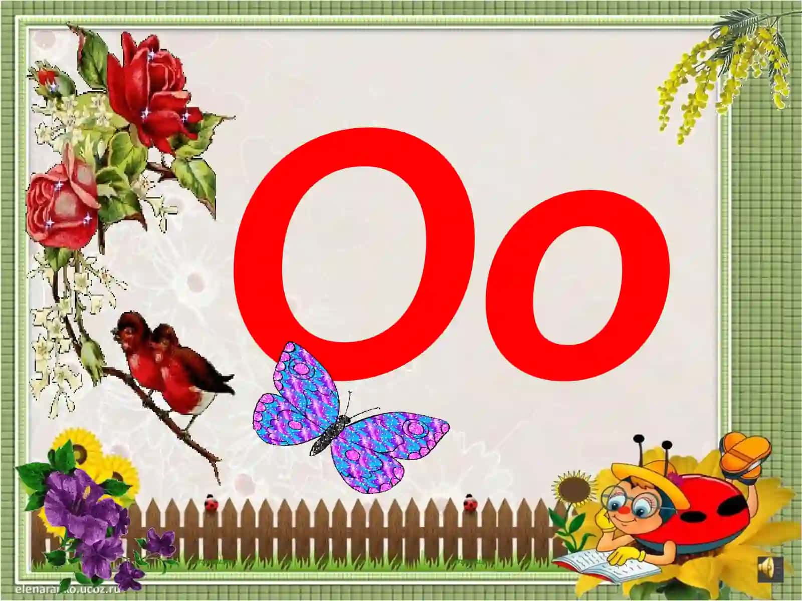 Alefbe”ni o`rganamiz 3