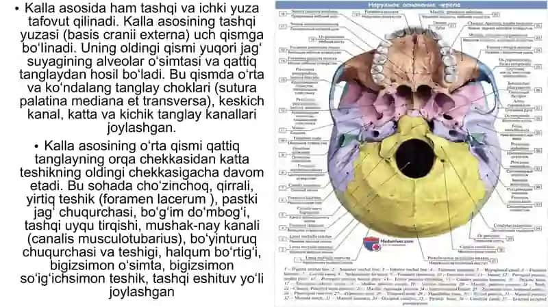 KALLA SUYAGI 3