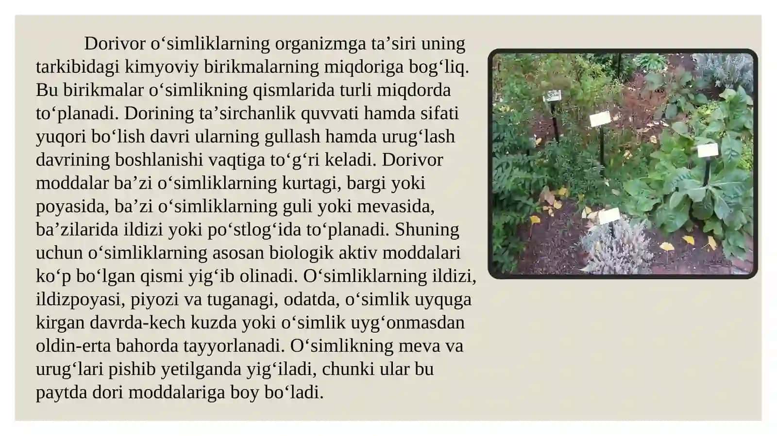 Kiyik o't zaxiralari. 3