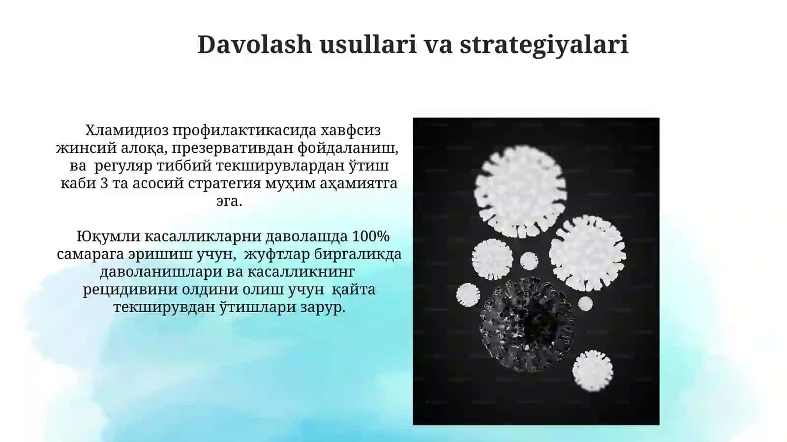 Xlamidioz qo‘zg‘atuvchilari 3