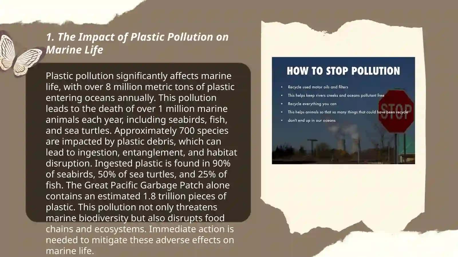 Plastic pollution and ways to prevent it Nigina 3