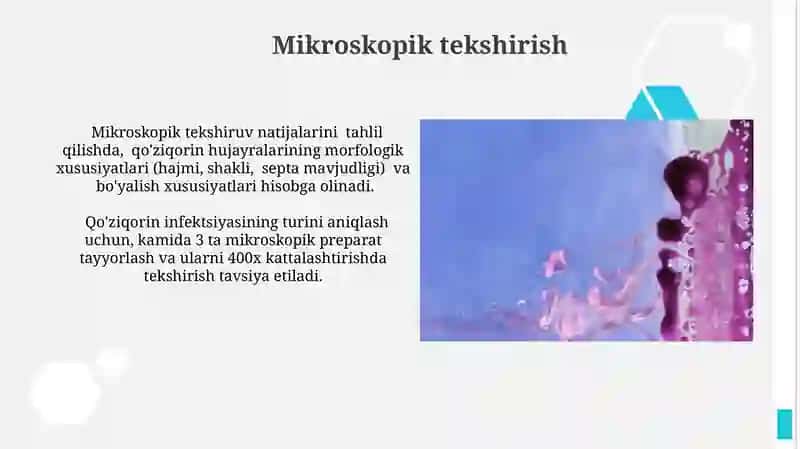 Zambarli kasalliklarning qo'zg'atuvchilari 3