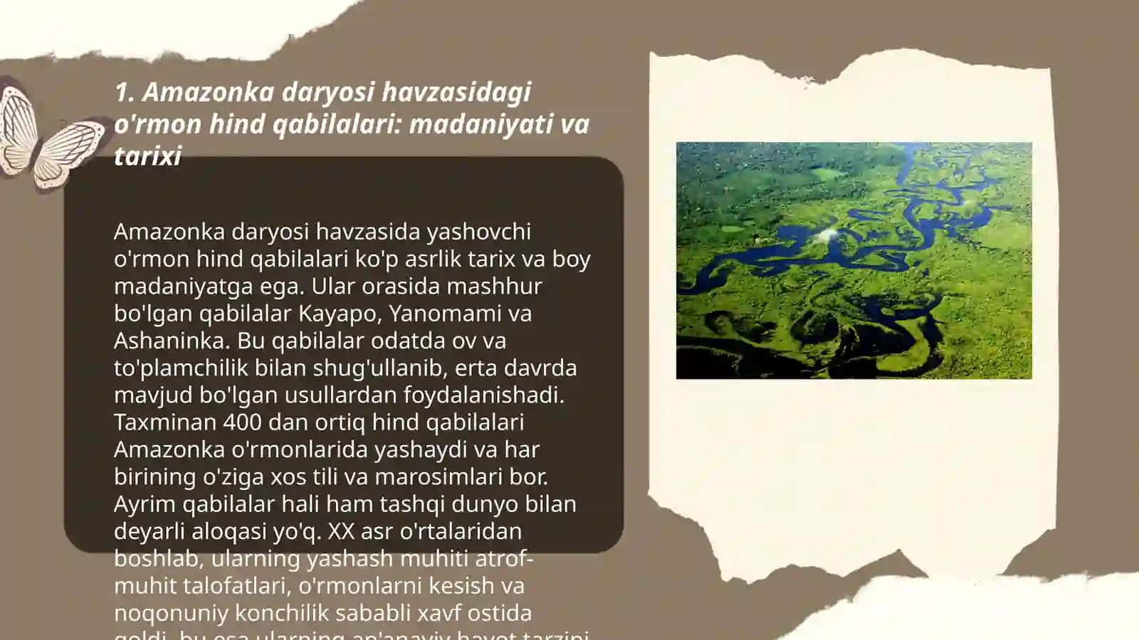 Amazonka daryosi havzasidagi o'rmon hind qabilalari: madaniyati va tarixi 3