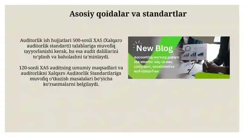 Auditorlik tashkilotining ish hujjatlari 3