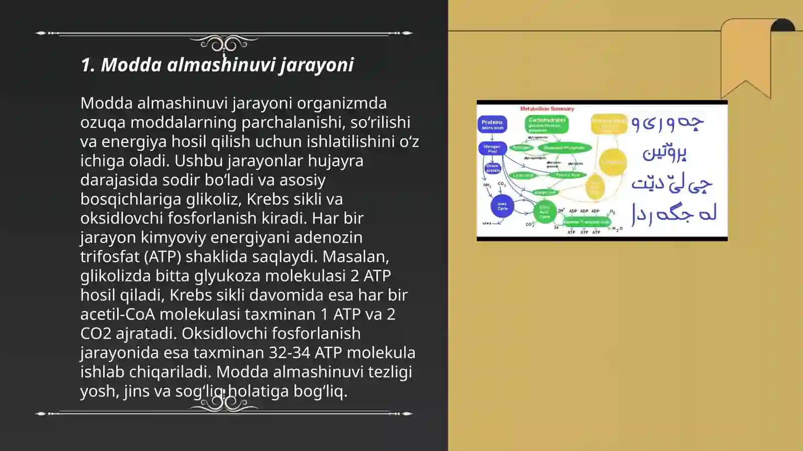 Modda va energiya almashinuvi 3