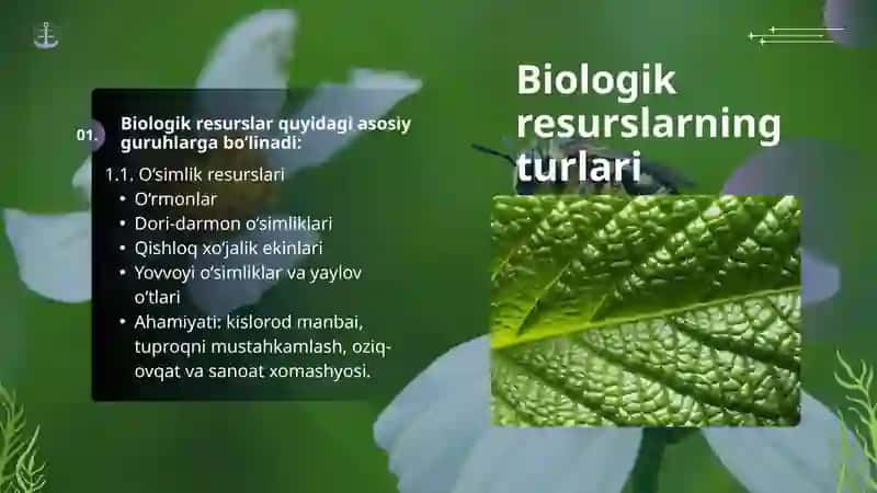 Biologik resurslar 3