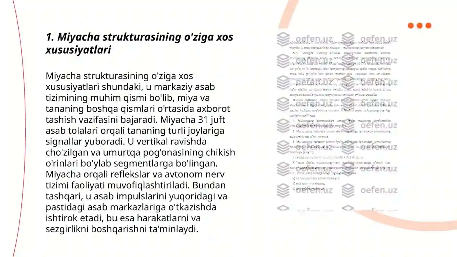 Miyacha sito va mieloarxitektonikasi 3