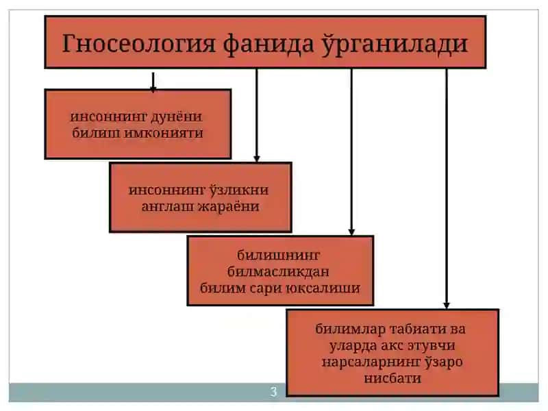Гносеология 3