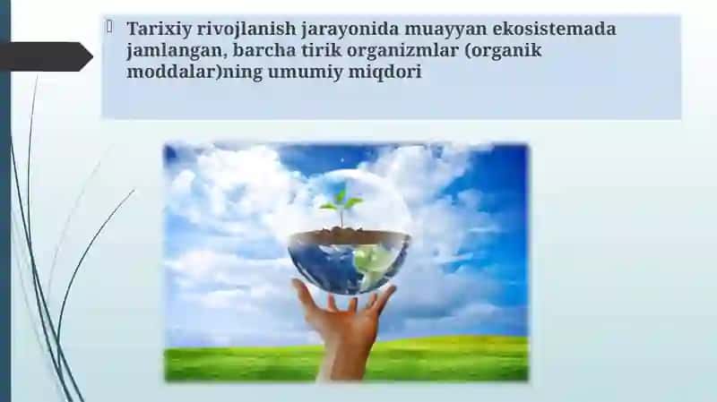 EKOTIZIMLARNING MAHSULDORLIGI 3