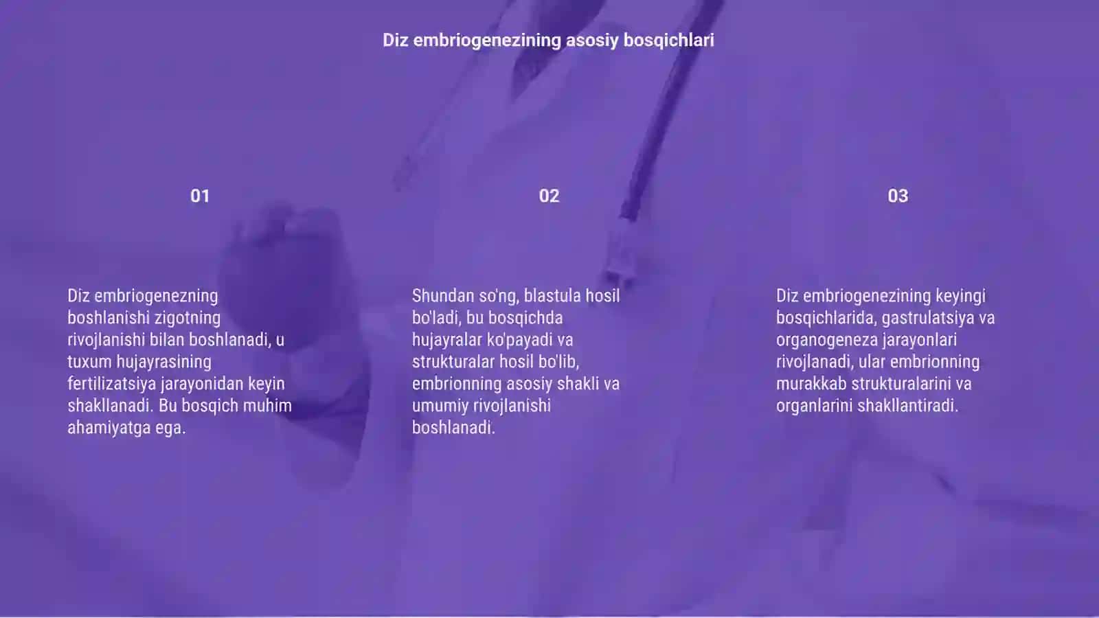 Diz embriogenez stigmalari 3