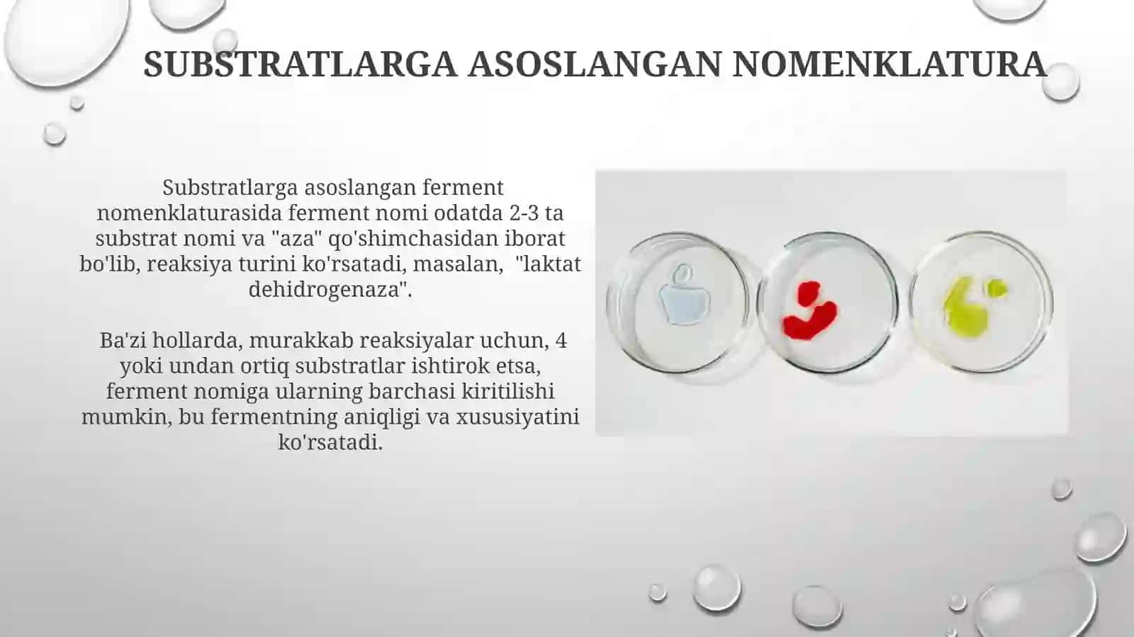 Fermentlarning nomenklaturasi 3