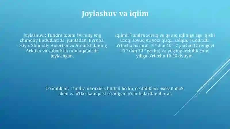 Tundra Zonasining Tuproqlari 3