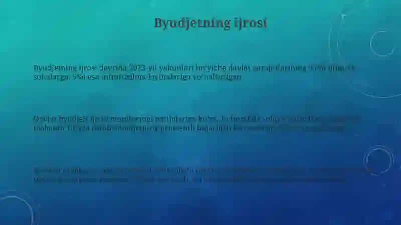 Davlat budjetining daromadlari va xarajatlari hisobini yuritish 3