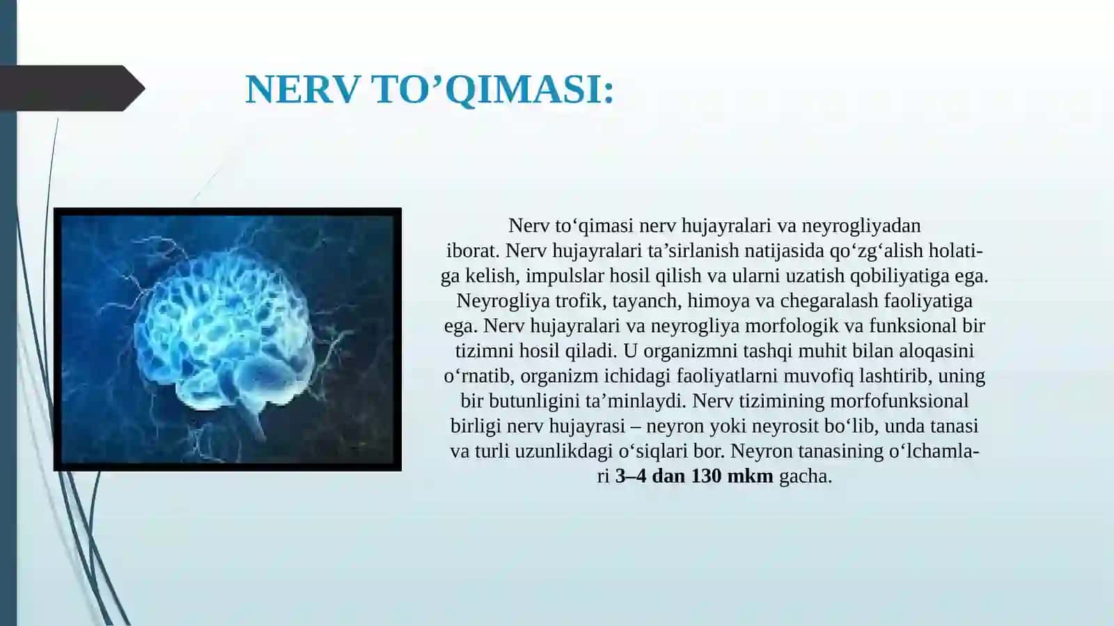 ANATOMIYA FANIDAN TAQDIMOT 3