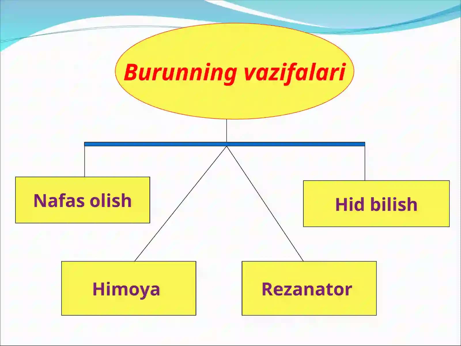 O‘TKIR VA SURUNKALI TUMOVLAR 3
