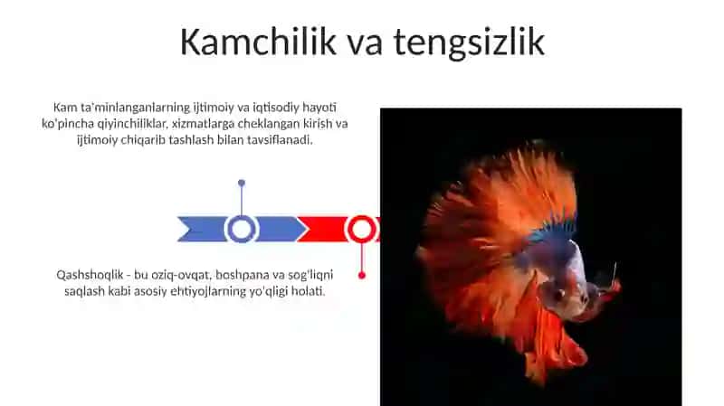 Ijtimoiy va iqtisodiy hayot 3