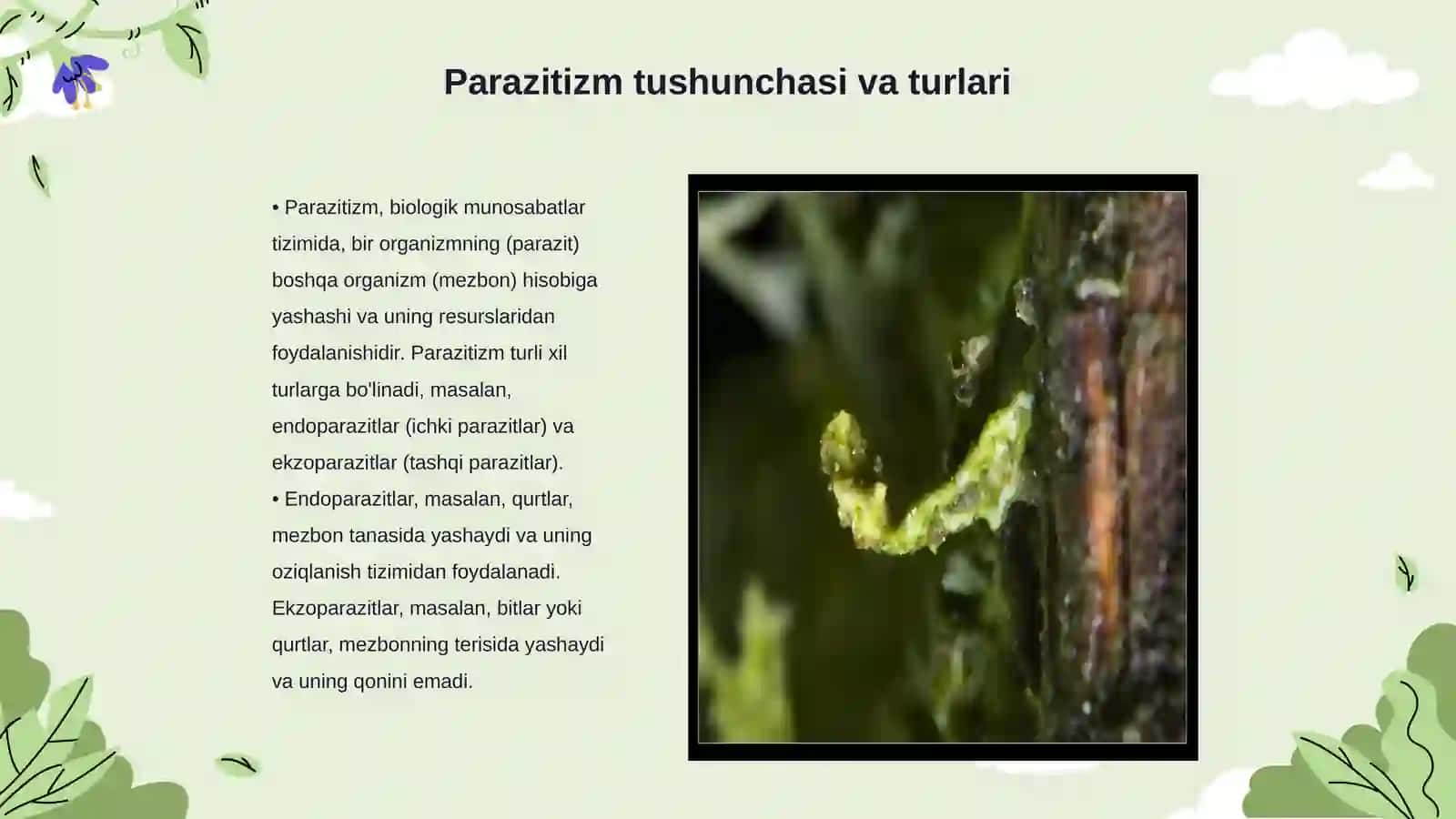 Parazit va parazitizm munosabatlar 3