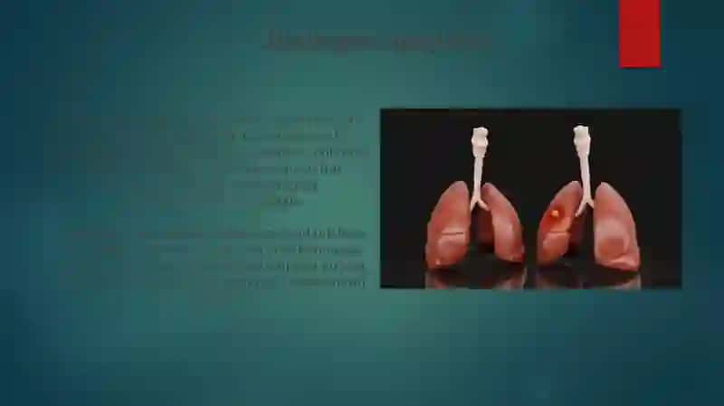 Nafas Olish Jarayonining Fiziologiyasi 3