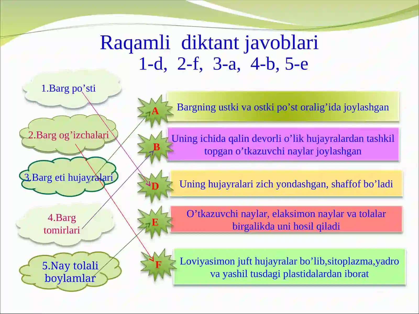 Bargning tuzilishi 3