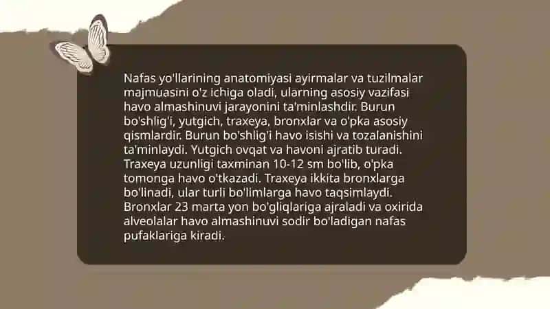 Nafas olish sistemasining fizikasi 3