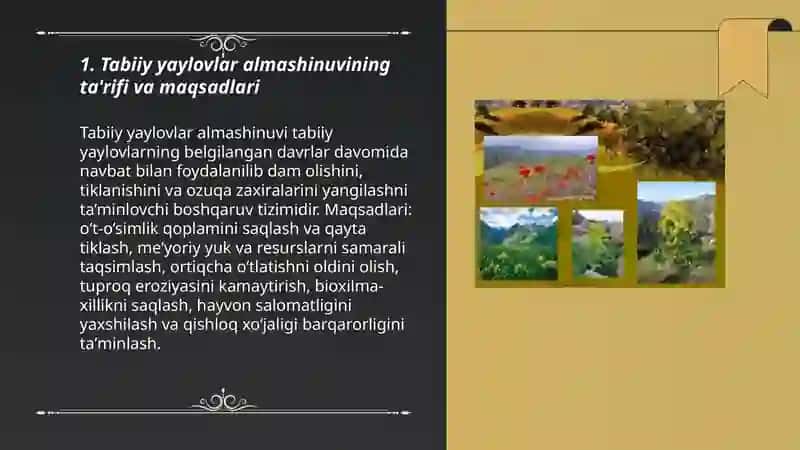 Tabiiy yaylovlar almashinuvi 3