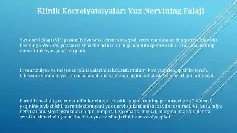 Yuz Nervining Topografiyasi va Shoxalari 3