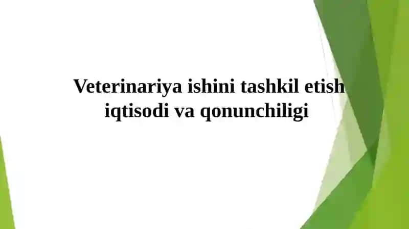Malakaviy Amaliyotdan Tayyorlagan Taqdimoti 3