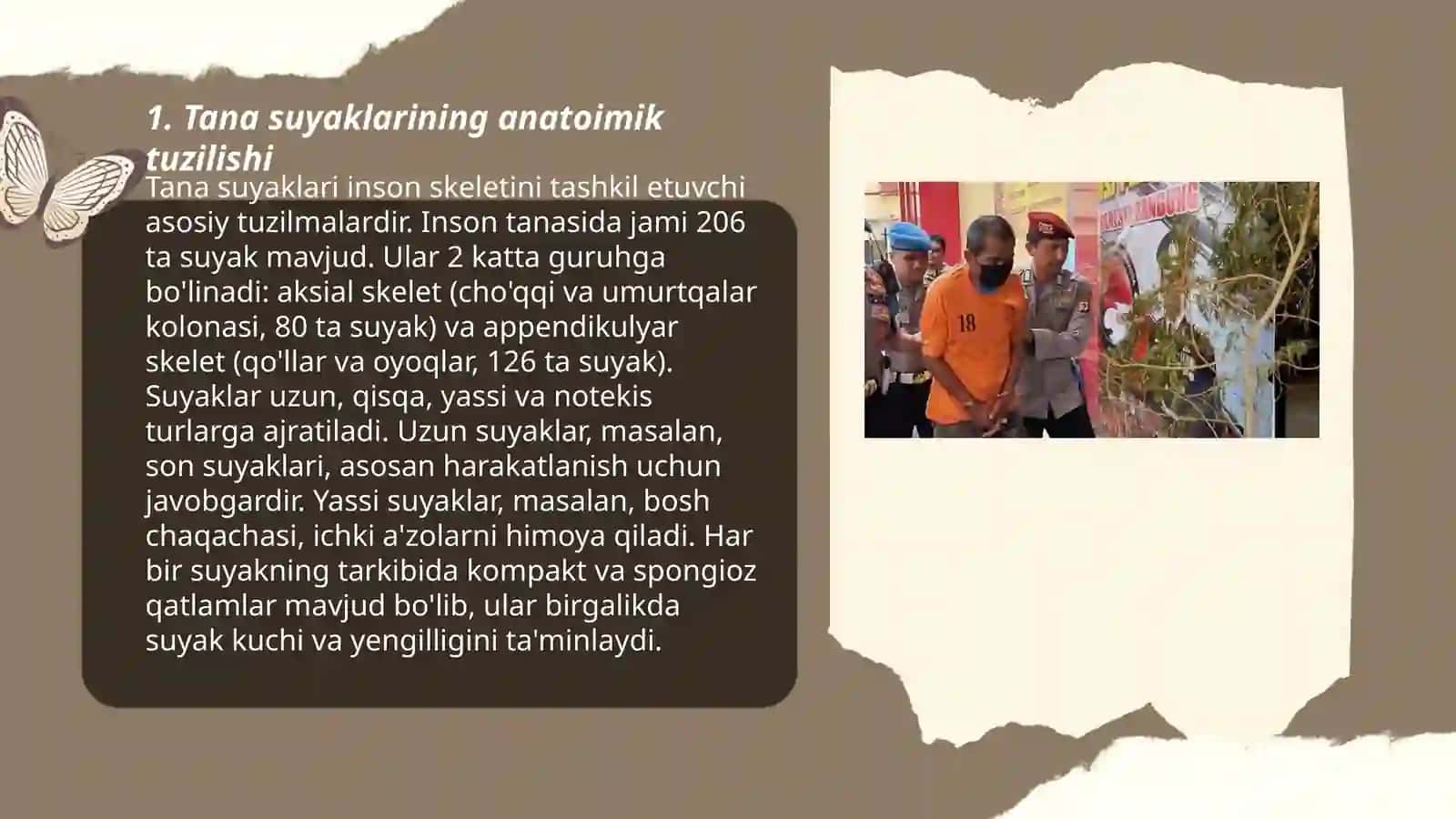 Tana suyaklarining birlashuvi 3