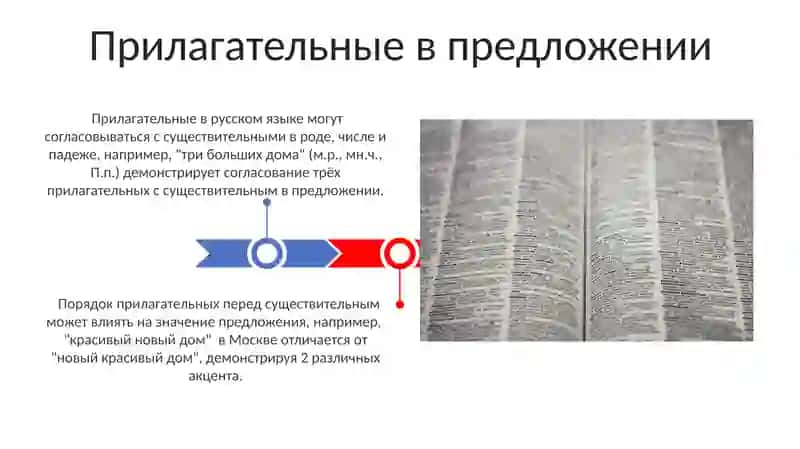 Имя прилагательное в русском языке 3