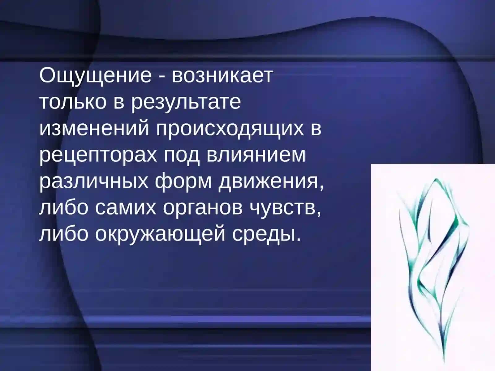 Ощущение и восприятие 3
