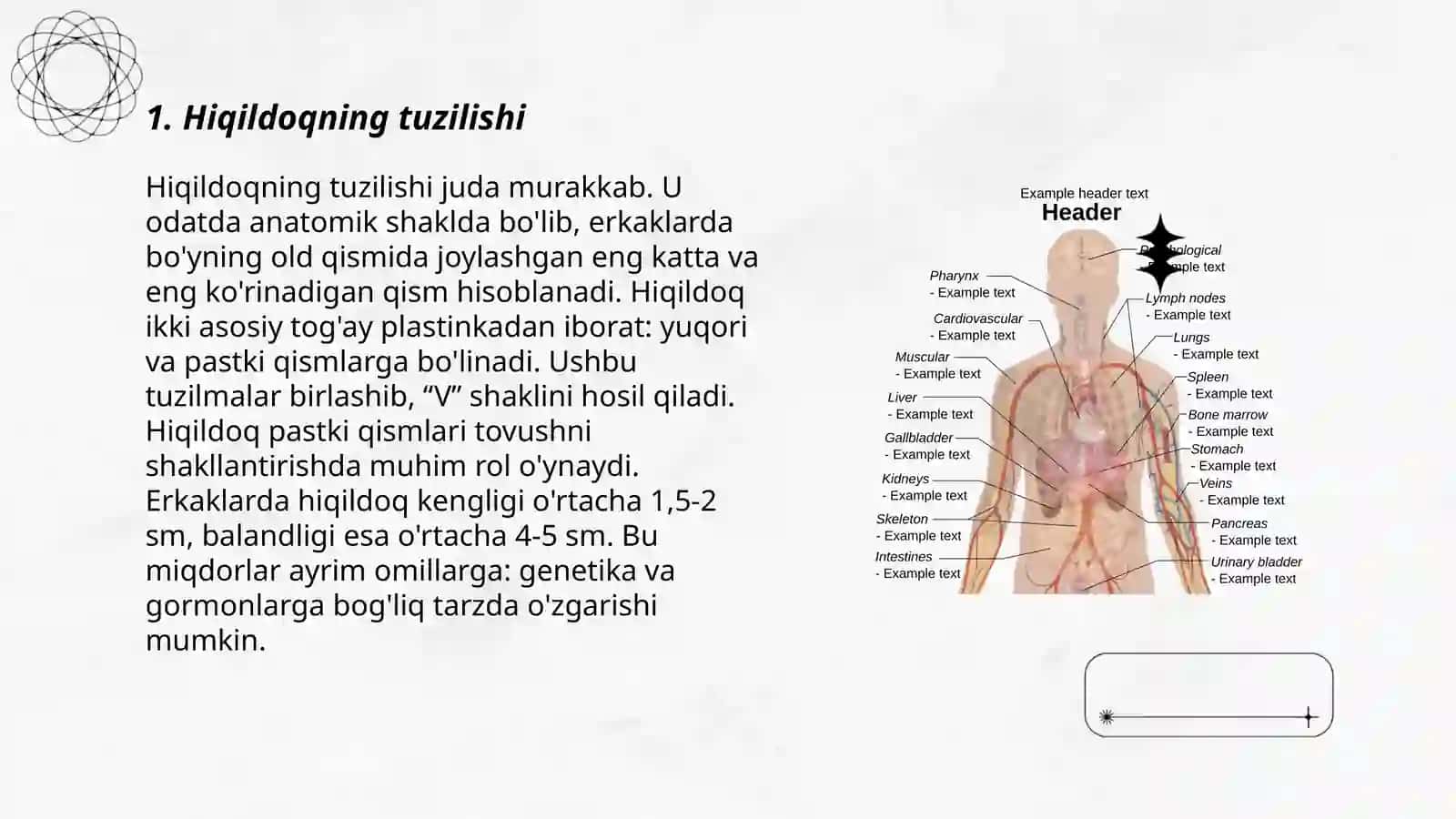 Hiqildoq anatomiyasi va tekshirish usullari 3