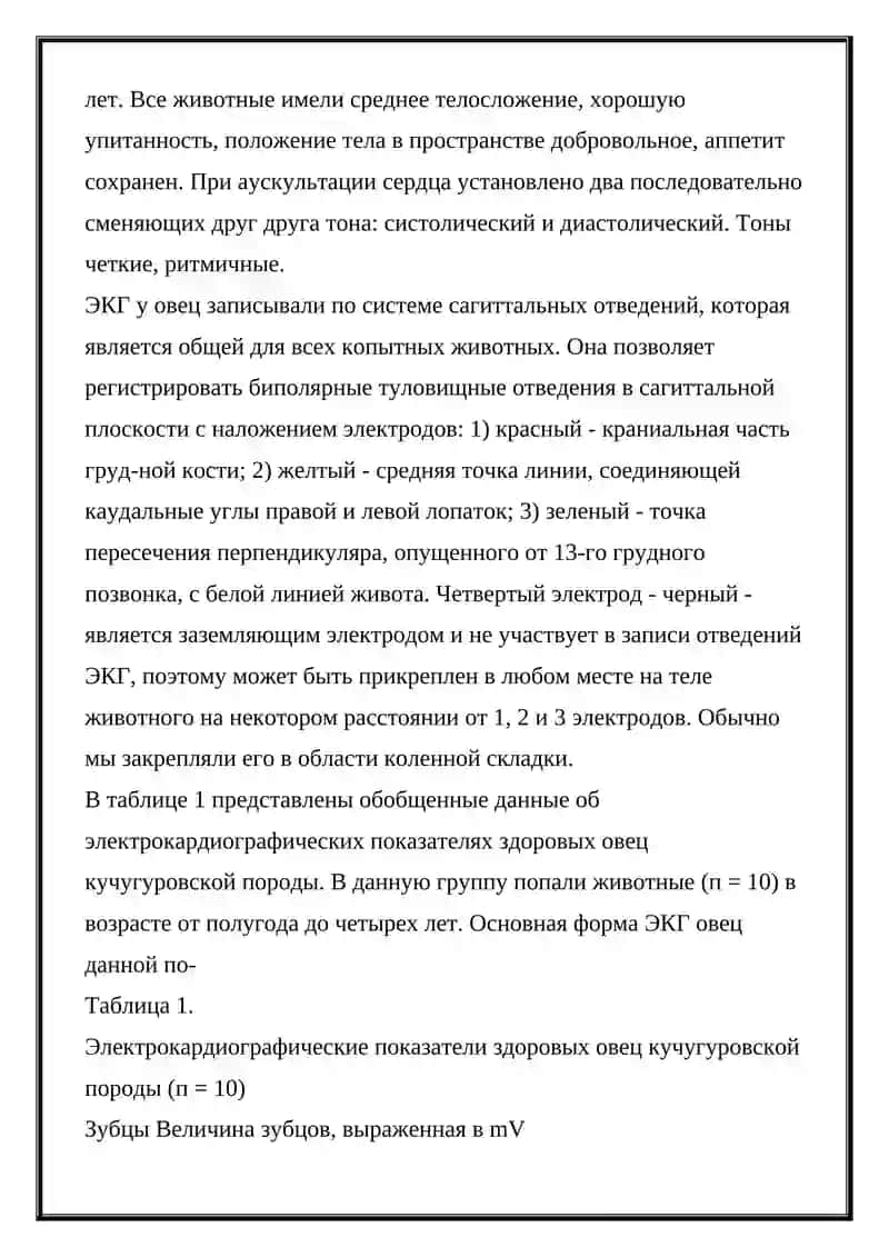 Электрокардиография 3