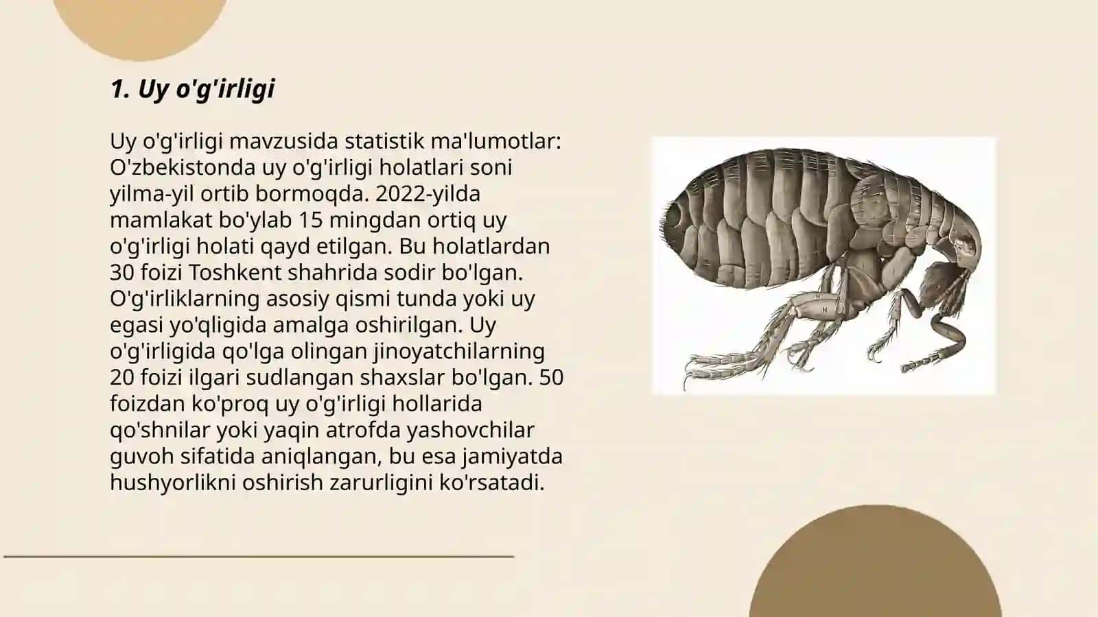 Uy o'g'irligi 3