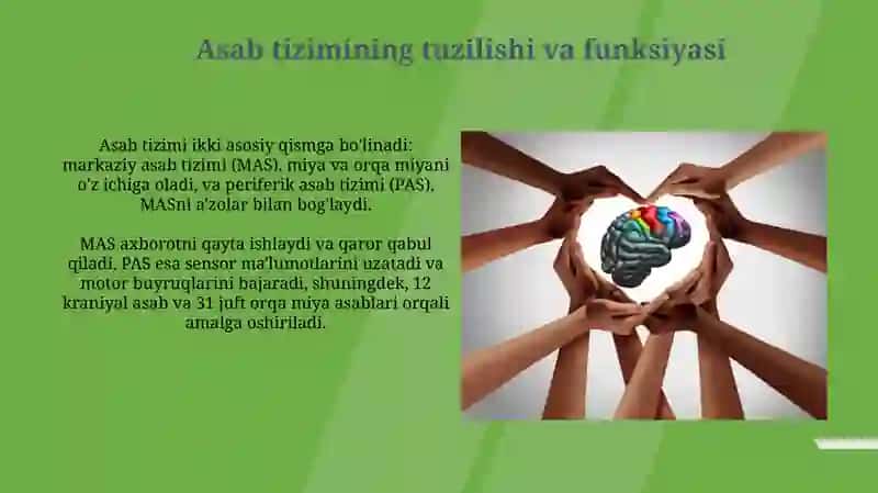 Xulq-atvorning psixofiziologik asosi 3