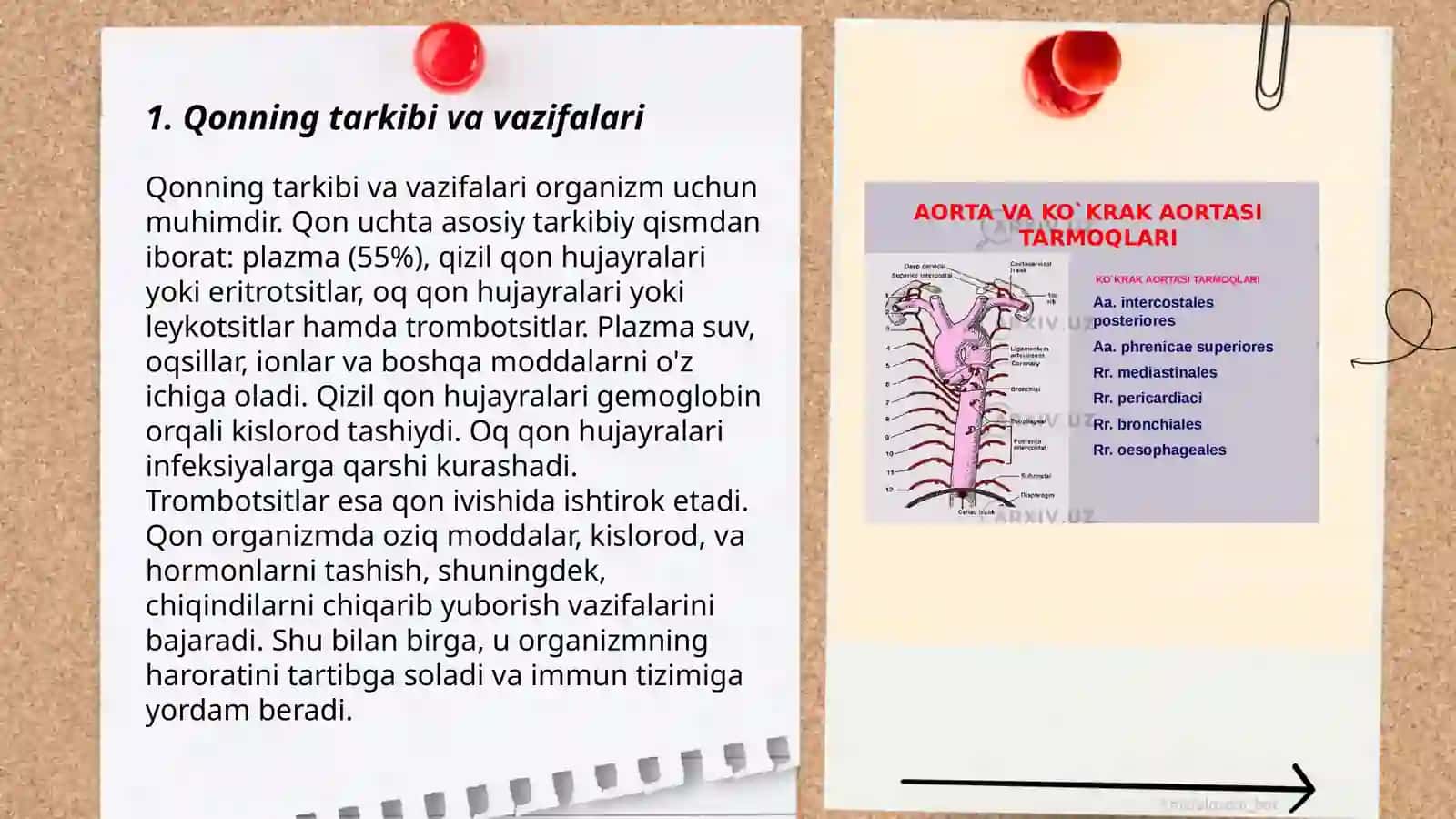 Qon fiziologiyasi 3