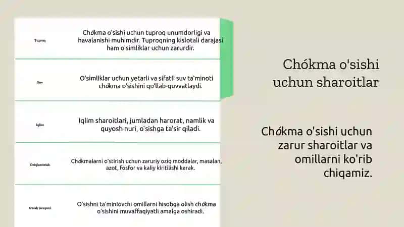 Chókmalarningerishsharoitlari 3