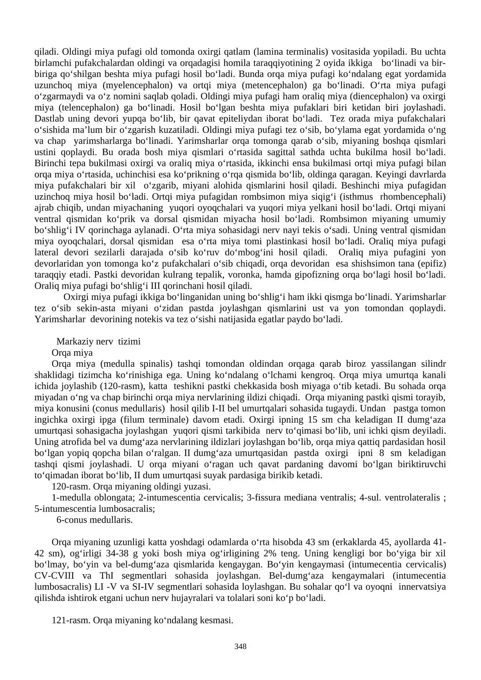 Nerv tizimi haqidagi ilm (neurologia) 3