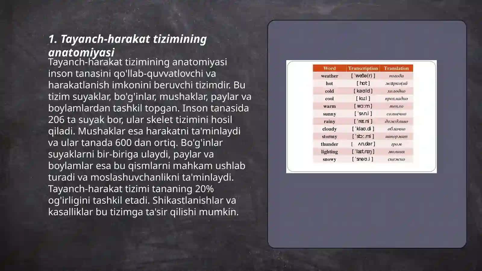 Tayanch-harakat tizimining anatomiyasi 3