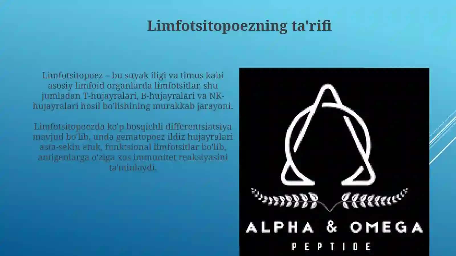Limfotsitopoez 3