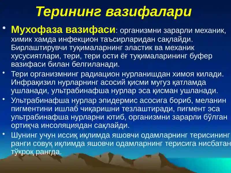Тери тананинг анатомияси 3
