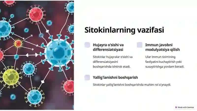 Sitokinlar va Interferonlar: Immun tizimining muhim vositalari 3