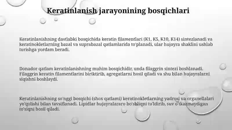 Keratinlanish jarayoni 3