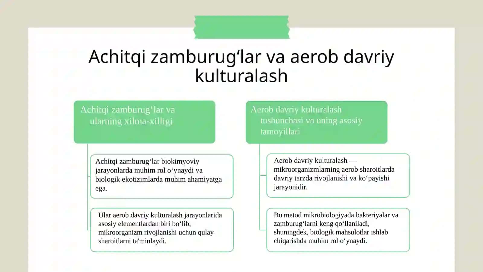 Achitqi zamburug‘larini aerob davriy kulturalash 3