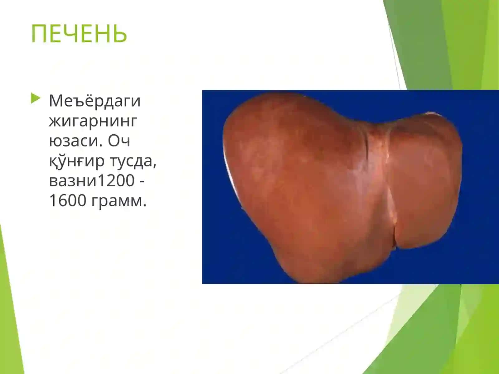 ПАТОЛОГИК АНАТОМИЯ 3