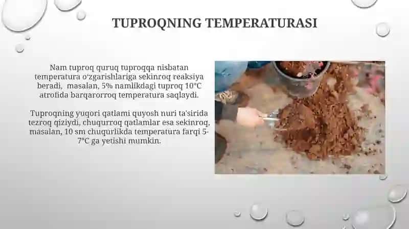 Tuproq va uning tabiiy xususiyatlari 3