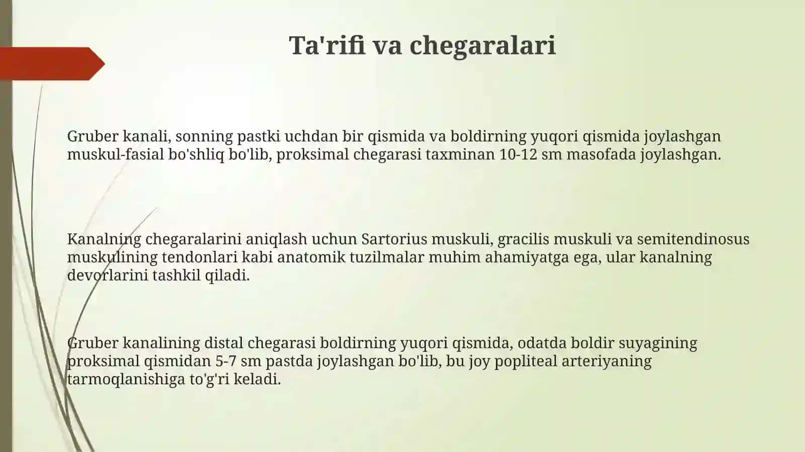Тақим-болдир (Грубер) канали топографик анатомияси 3