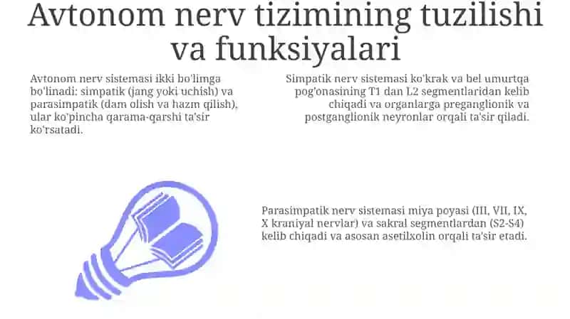Avtonom nerv sistemasi 3